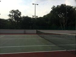 Tanglin Park (D10), Condominium #583919651